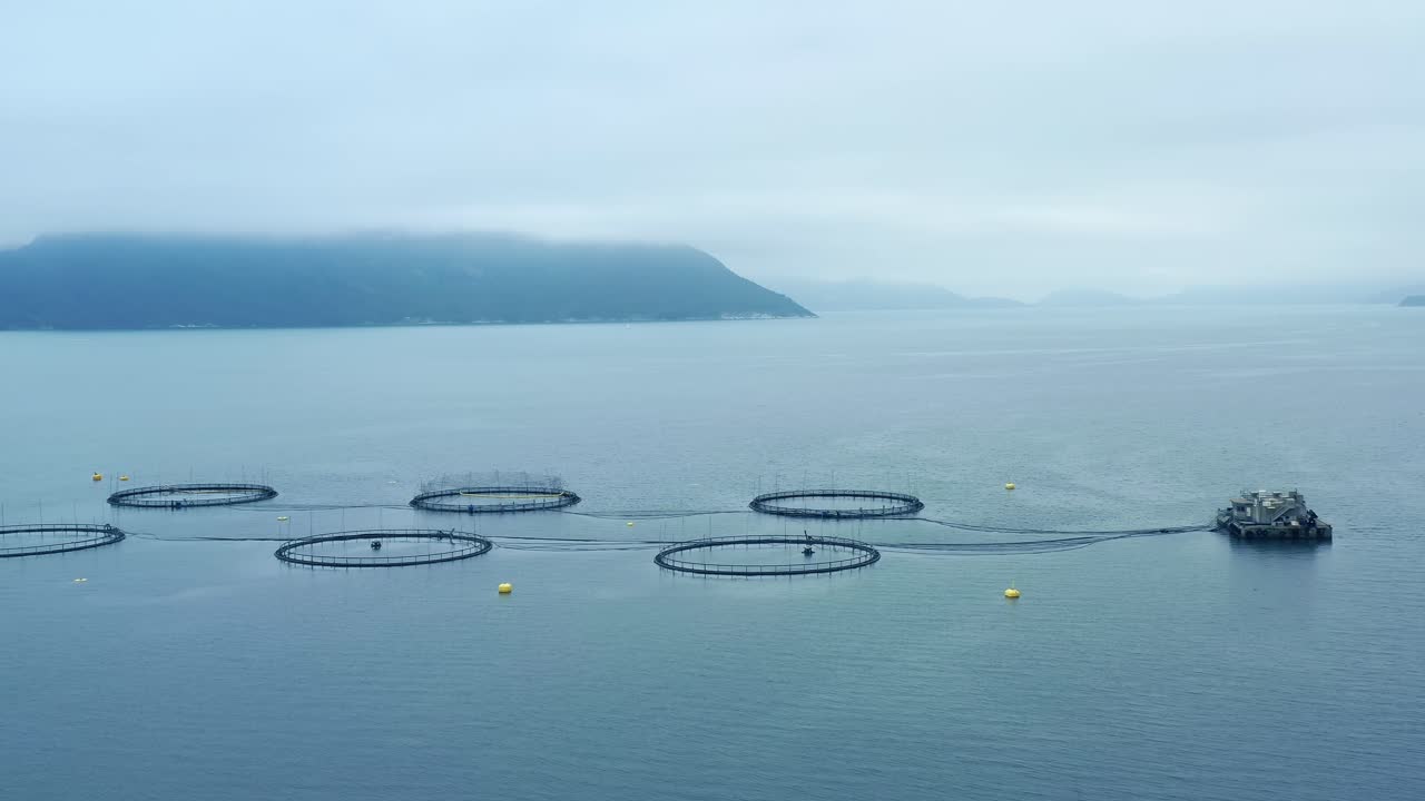노르웨이에서 연어  ⁇ 시를 하는 공중 촬영