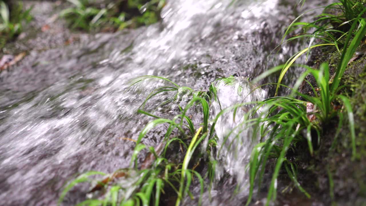 The clear stream in the valley flows down from mossy stones