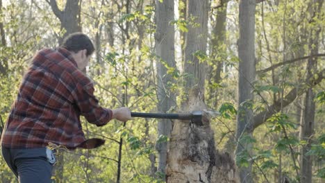 young caucasian man working at chopping down a tree stump