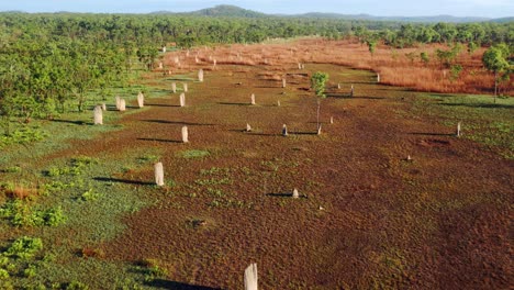 Vista-Aérea-De-Montículos-De-Termitas-Magnéticas-En-El-Parque-Nacional-Litchfield,-Territorio-Del-Norte,-Australia