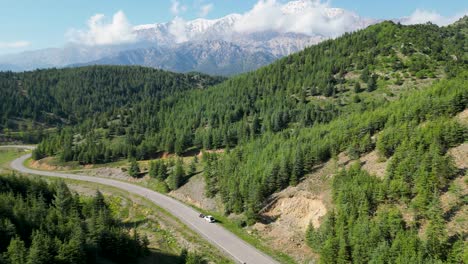 Road-of-Green-Hills