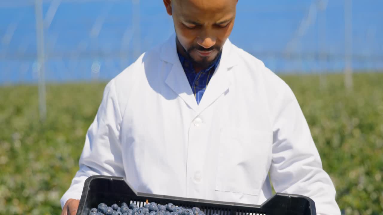 человек с ягодами в ящике 4к.