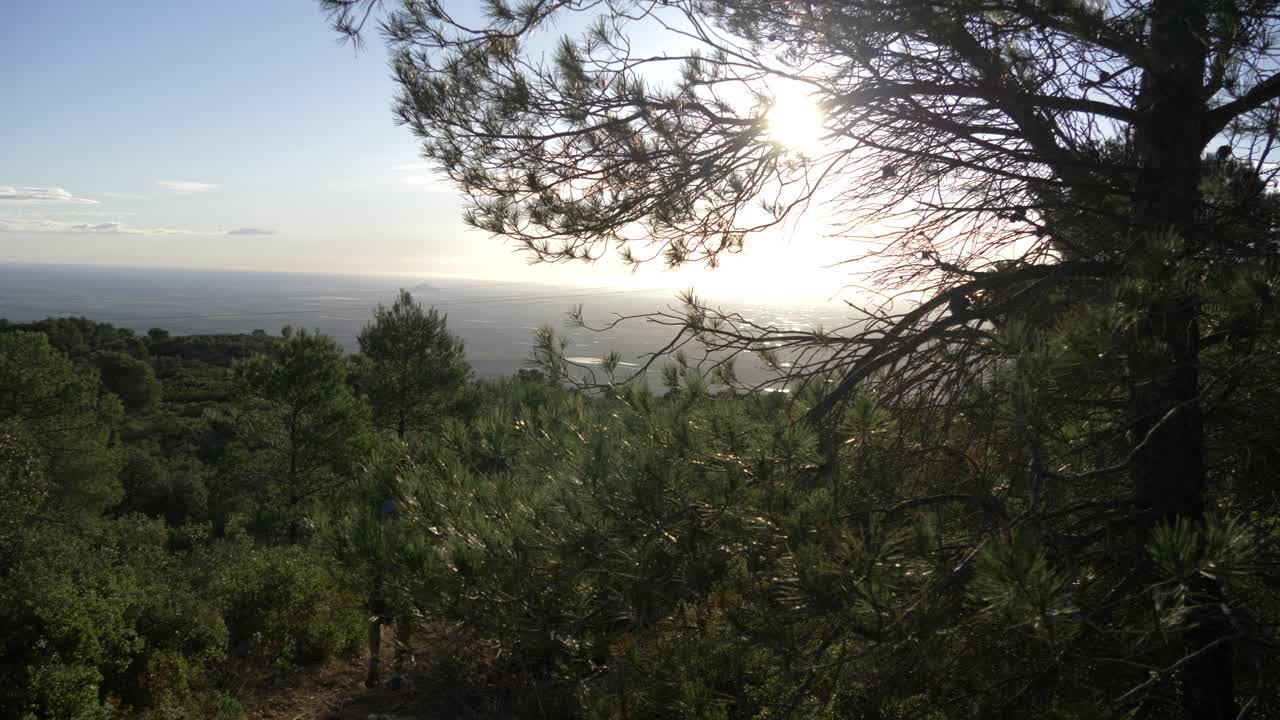스페인 무르시아의 많은 나무가 있는 산에서 고 있는 남자