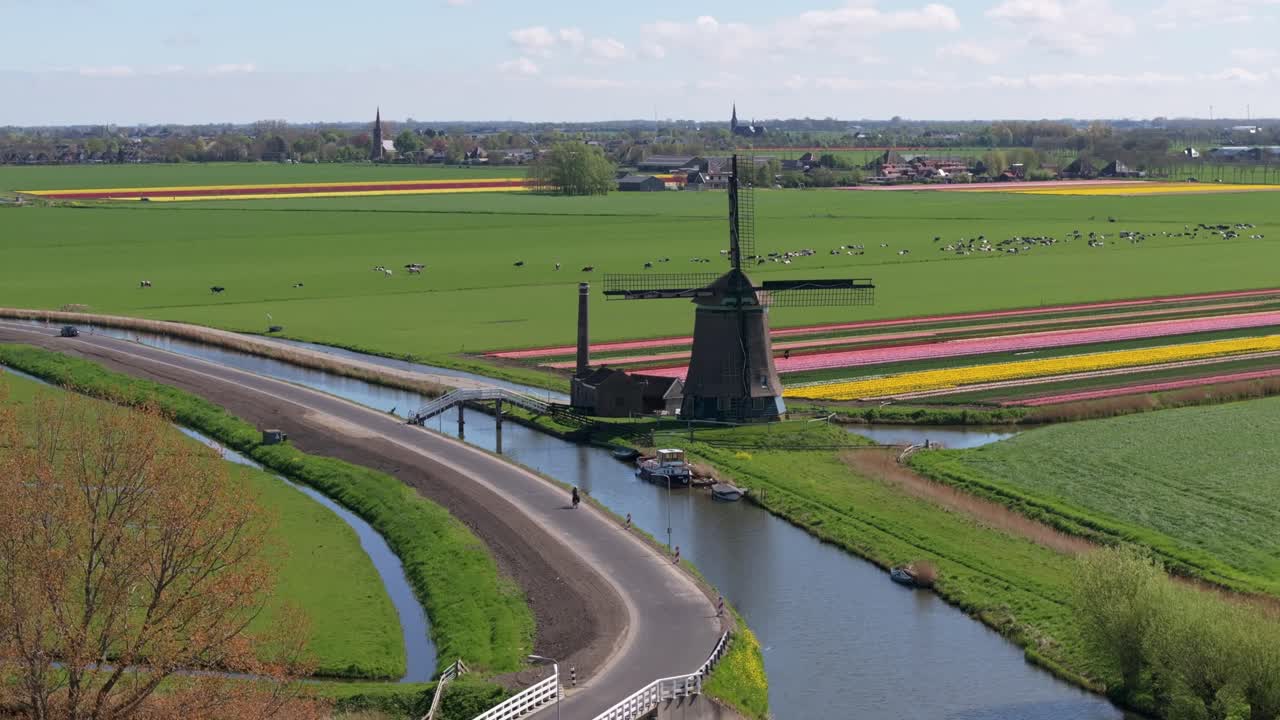 Luftaufnahme von leuchtenden Tulpen und traditioneller Windmühle im ländlichen Holland