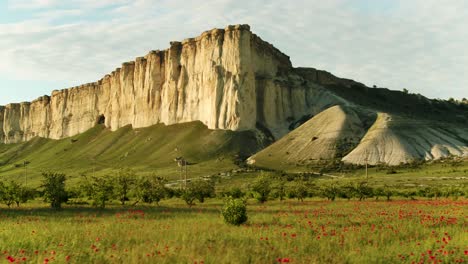 majestuosos acantilados blancos y el paisaje del campo de amapolas