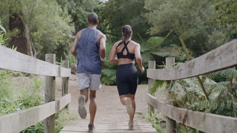 Rear-view-of-two-athletes-starting-morning-run