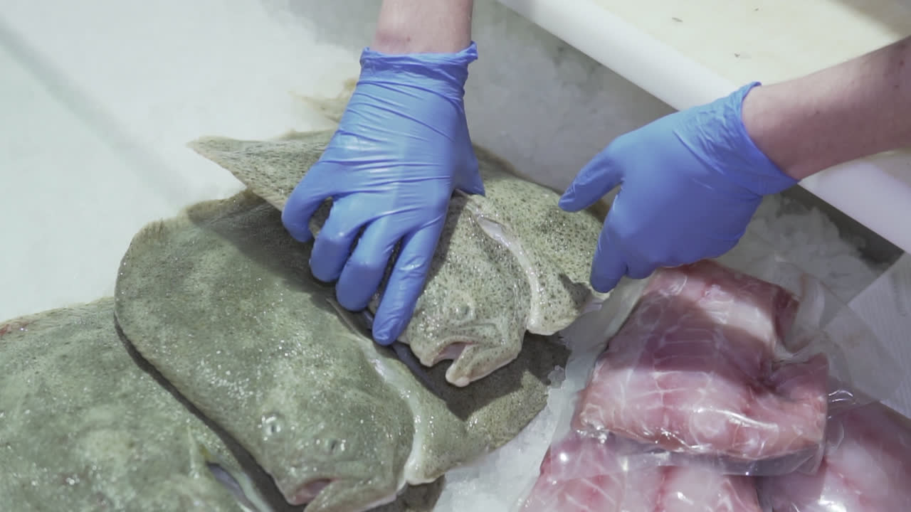 putting big flat fish in shelve, slow motion 1080p