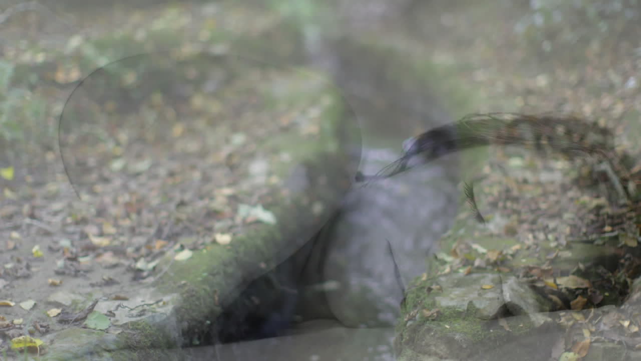 протекающий поток в лесу с анимированным покрытием лица