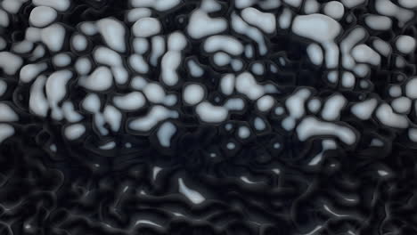 abstract black and white organic texture