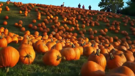 a vibrant display of pumpkins rolling down a hill during autumn with joyful visitors enjoying the festive atmosphere and the beautiful fall colors around them