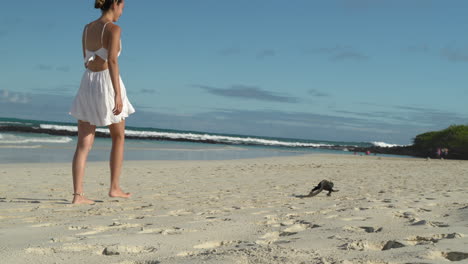 female tourist in white dress walking along tortugas beach following marina iguana in the galapagos