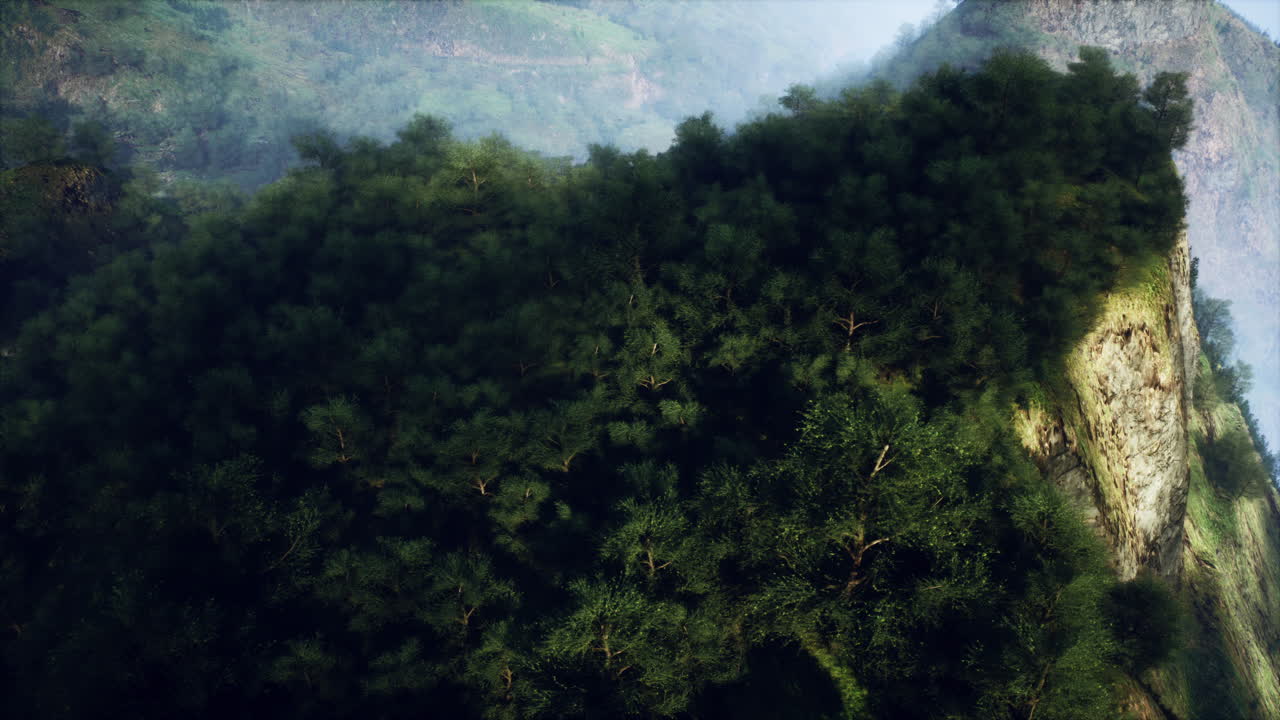 un bosque verde exuberante en un acantilado de montaña