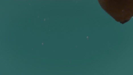 teal background with particles