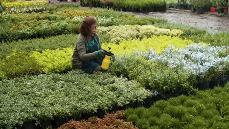 jardinera que trabaja en el interior