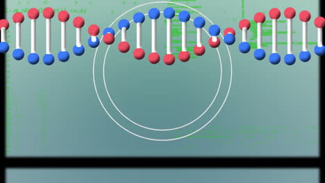animación de cadenas de adn y círculos sobre el procesamiento de datos