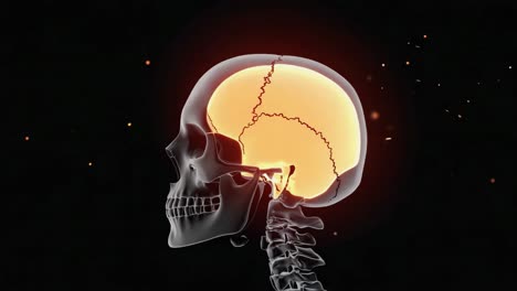 human skull with glowing brain 3d render
