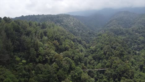 aerial view fly over suspension bridge and forest in sukabumi, indonesia