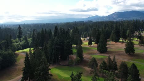 breathtaking aerial view of olympic national park, showcasing serene forests and towering pine trees