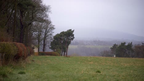 Static-shot-of-a-small-rabbit-or-a-hare-running-away-across-a-field-on-a-cloudy-day