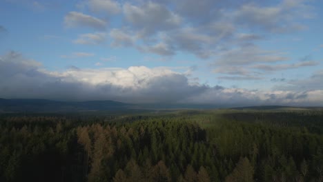 Luftaufnahme-Einer-Ruhigen-Waldlandschaft-Unter-Teilweise-Bewölktem-Himmel