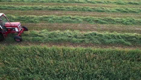 Using-a-hyrdoswing-swather,-a-Wisconsin-farmer-cuts-a-field-of-alfalfa-and-grass