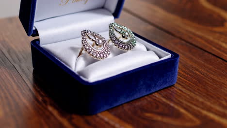 elegant vintage earrings in a blue velvet box