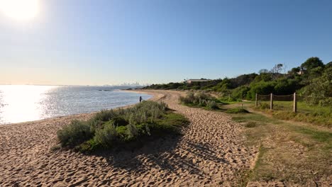 a serene beach path with lush greenery