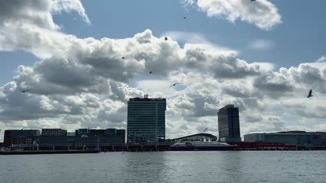 birds flying above ij river in amsterdam north on a sunny day with dark clouds