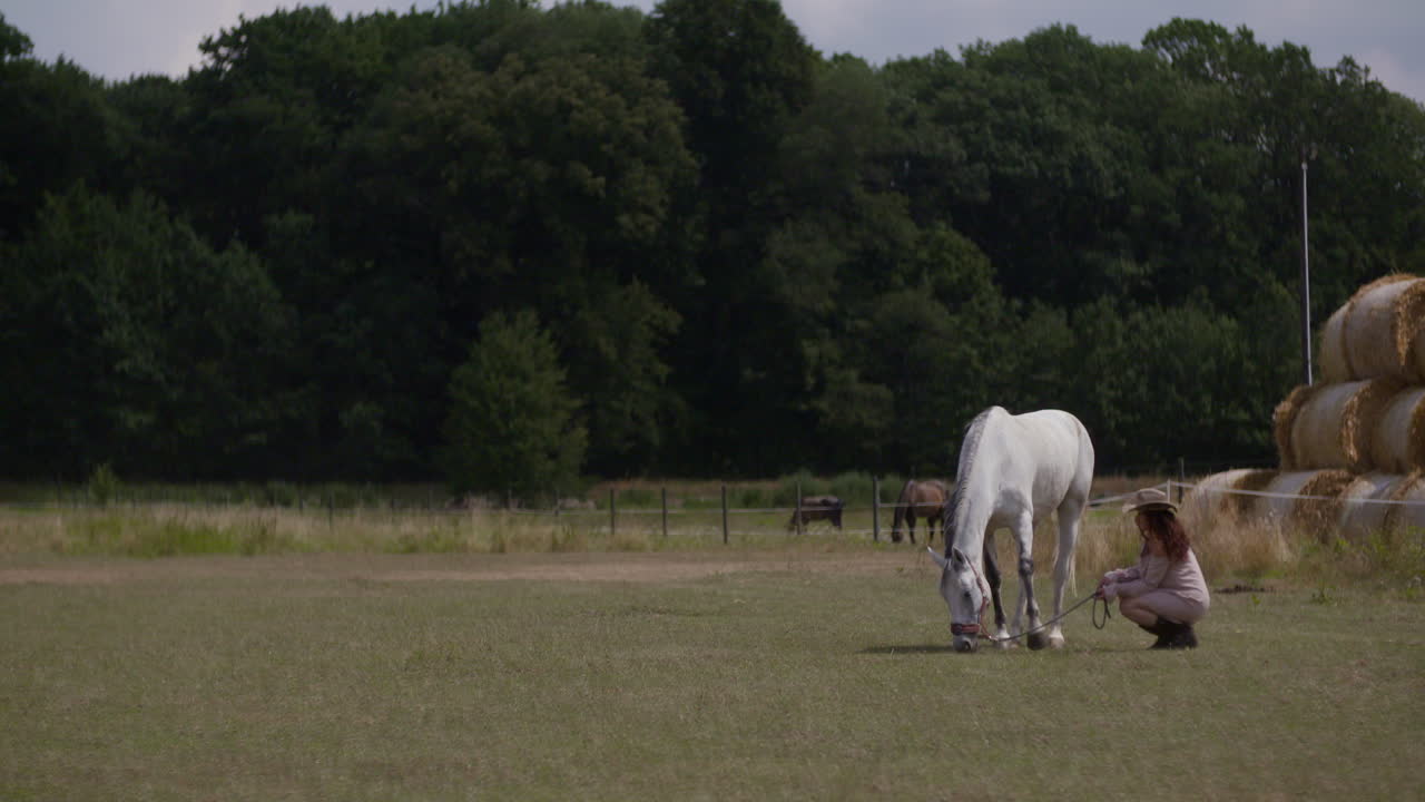 Woman with a white horse in a field