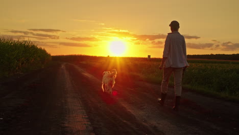 sunset walk with dog on country road