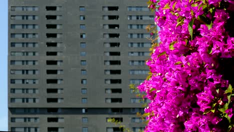 Sustainable city.