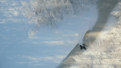 Astonishing-aerial-view-of-forest-trees-and-frozen-creek-covered-in-snow,-winter