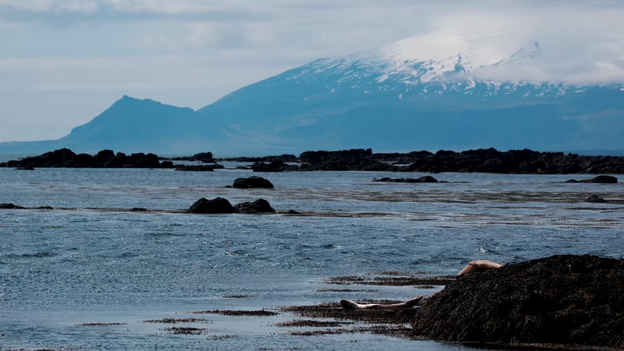 아이슬란드 서부의 여름에 ytri tunga 해변에서 빙하 에 있는 snaefelsnesjökull stratovolcano
