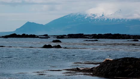 Snaefelsnesjokull-Glacier-capped-Stratovolcano-From-Ytri-Tunga-Beach-In-Summer-In-West-Iceland