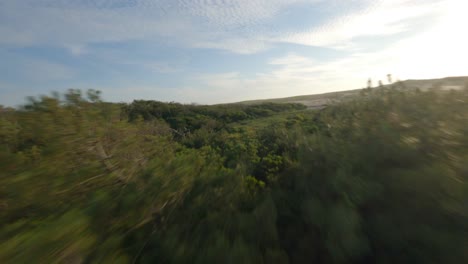 Drone-flying-over-forest-with-sandy-dunes-in-background,-Soustons-in-Landes,-Nouvelle-Aquitaine-in-France