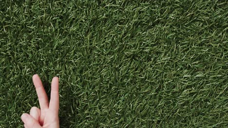 close up of hand of caucasian woman showing peace sign with copy space on grass background