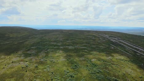 Aerial-View-Of-Green-Meadows-In-Högfjällshotellet,-Sälen,-Dalarna,-Sweden---drone-shot