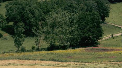 Die-Französische-Landschaft-Im-Frühling:-Erleben-Sie-Den-Anblick-Und-Die-Geräusche-Eines-Traktors-In-Aktion-Während-Der-Erntezeit,-Während-Die-Raubvögel-über-Ihnen-Schweben