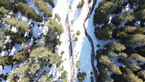 Fluss-Verschneit-Im-Wald