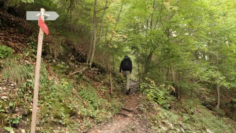 un hombre caminando por un bosque muy verde en un día nublado en eslovenia ubicado cerca del pueblo de gozd martuljek