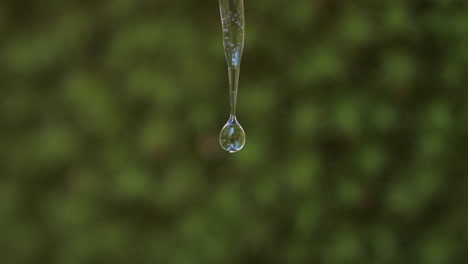 macro shot of water slowly dripping from an icicle