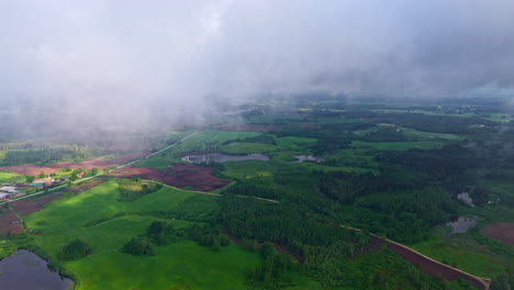 green meadows, forest and clouds, aerial drone view