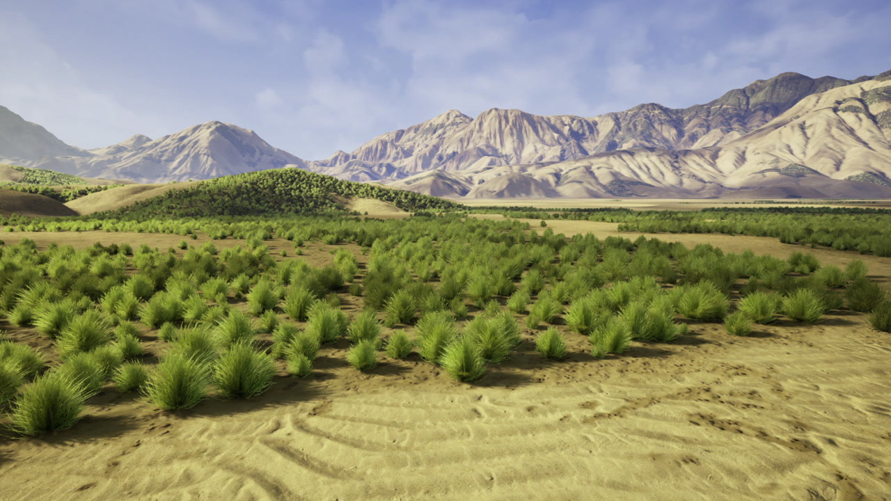 Solitary wilderness amid sprawling desert and mountain horizon