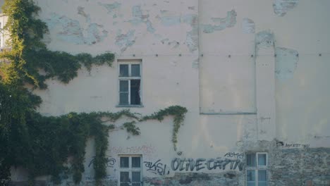 damaged building with graffiti in bratislava, slovakia