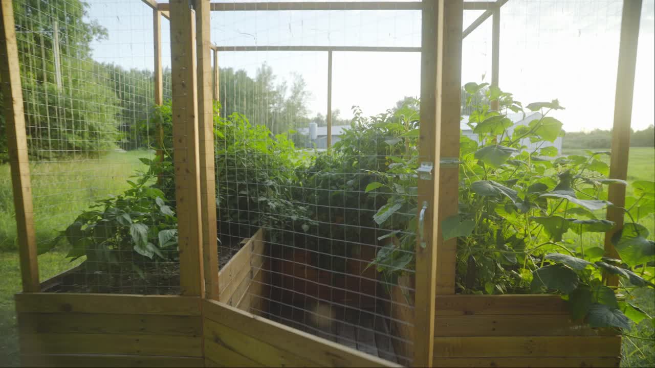 Trædør, der lukker ind til en frodig, fuldvoksen, grøn indhegnet have.