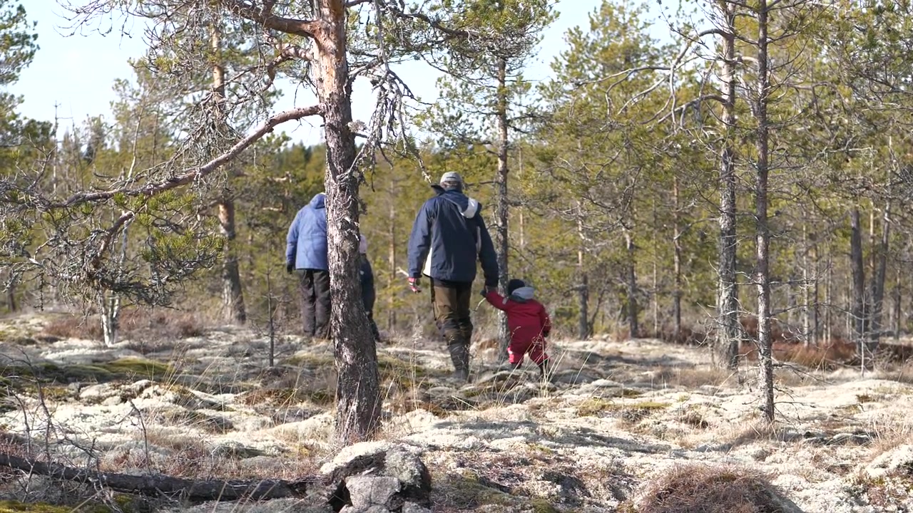 Monisukupolvinen perhe kävelemässä karussa metsämaisemassa