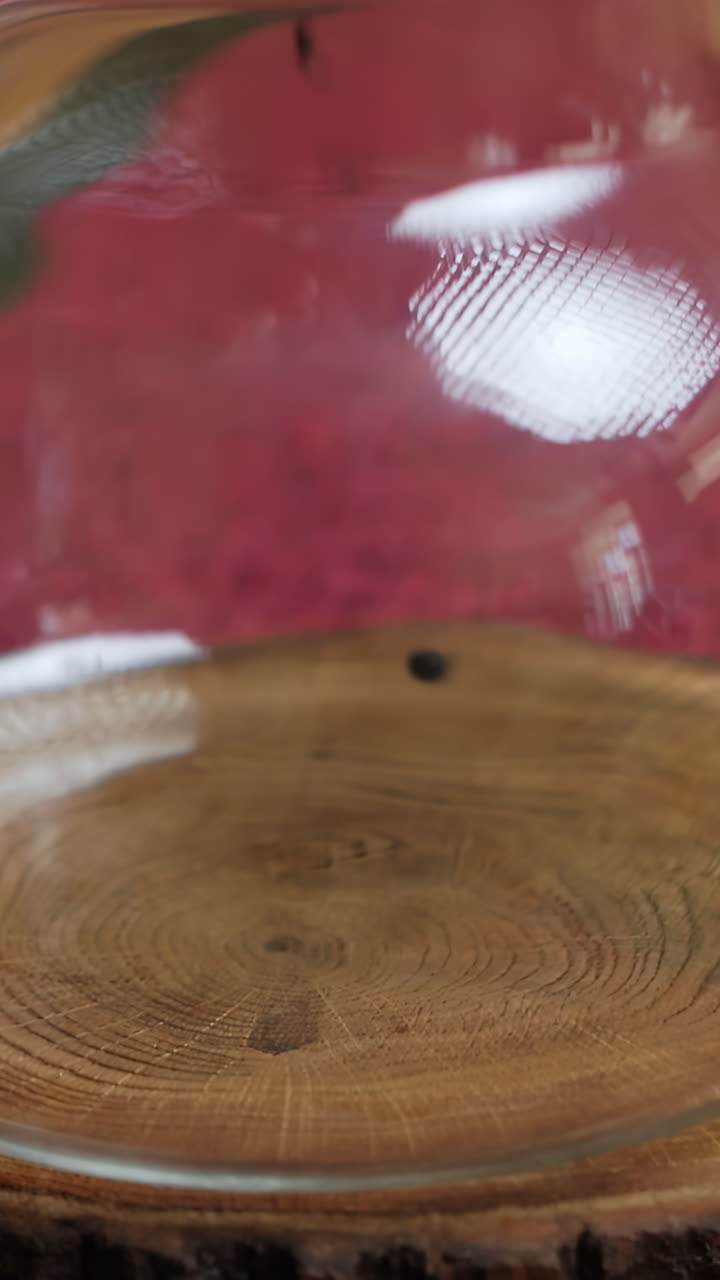 Close-up of black tea leaves in a glass container
