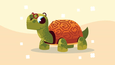 cute turtle comic character animation