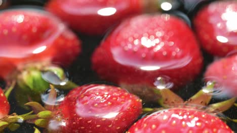 red organic natural from horticulture garden strawberry floating in clear water extreme close up