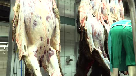 meat industry horses hanging worker removing skins